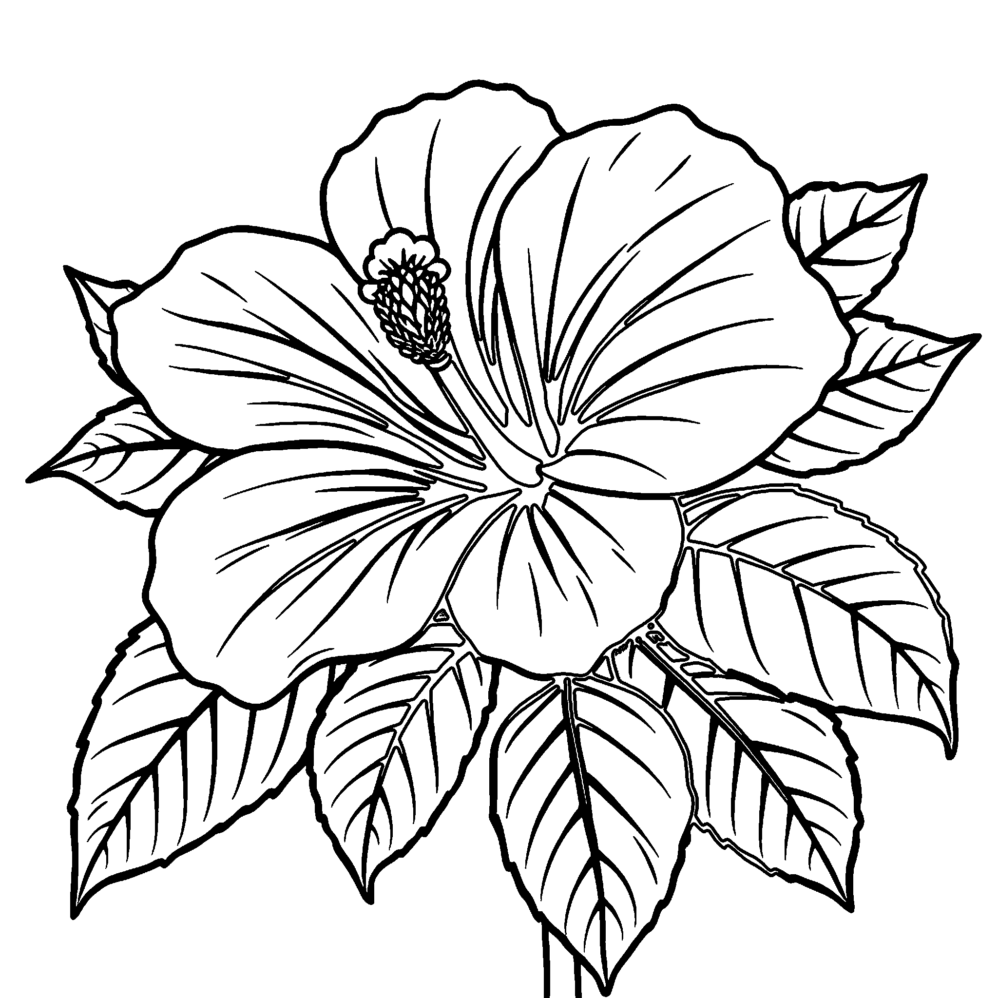 Hibiscus coloring page: a tropical hibiscus with big petals