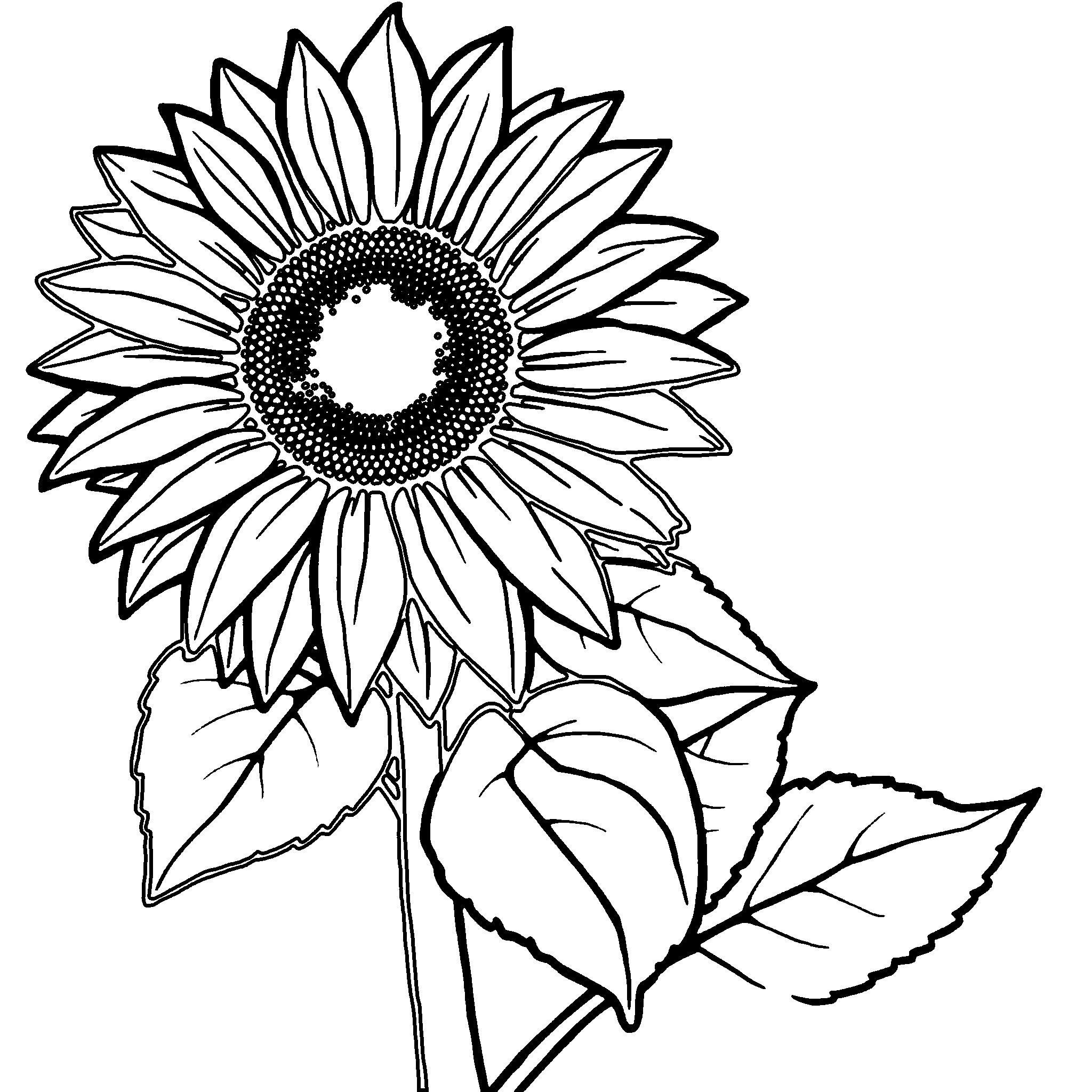 Big sunflower coloring page: one sunflower with a big seed center