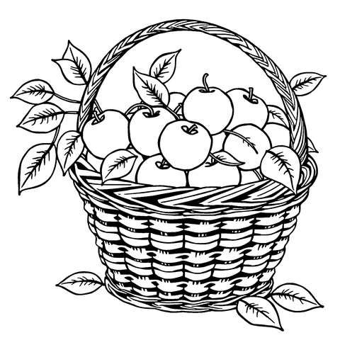 Apple basket coloring page