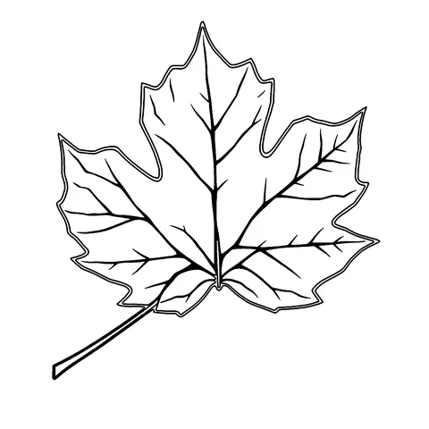 Fall coloring page