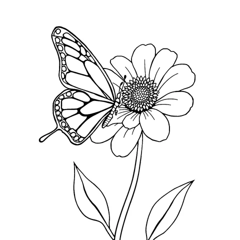 Butterfly on a flower coloring page