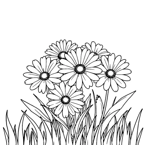 Daisies coloring page