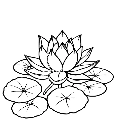 Lotus on the water coloring page
